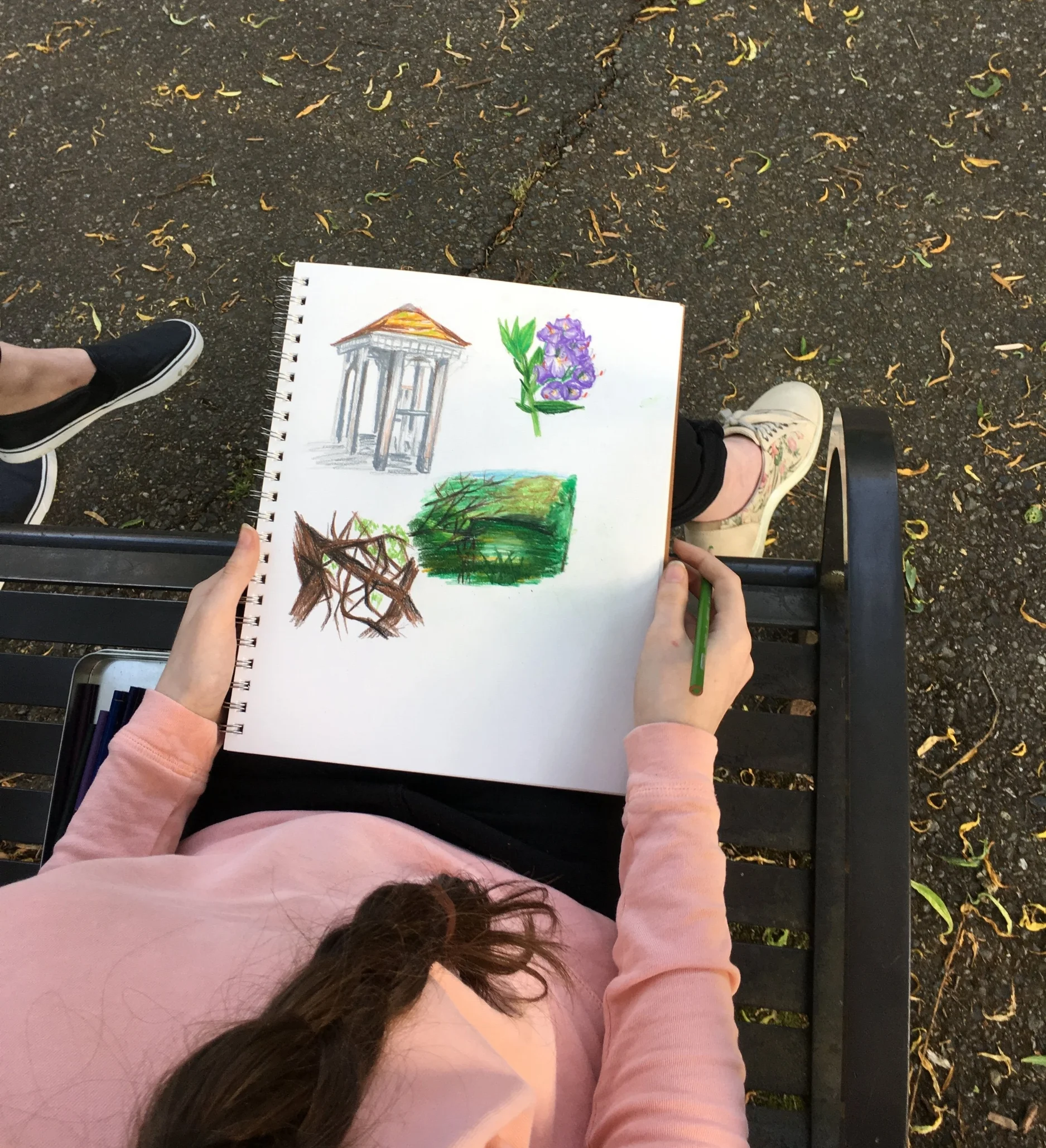 Sketchbook classes for kids & teens — Charlene Collins Freeman Art