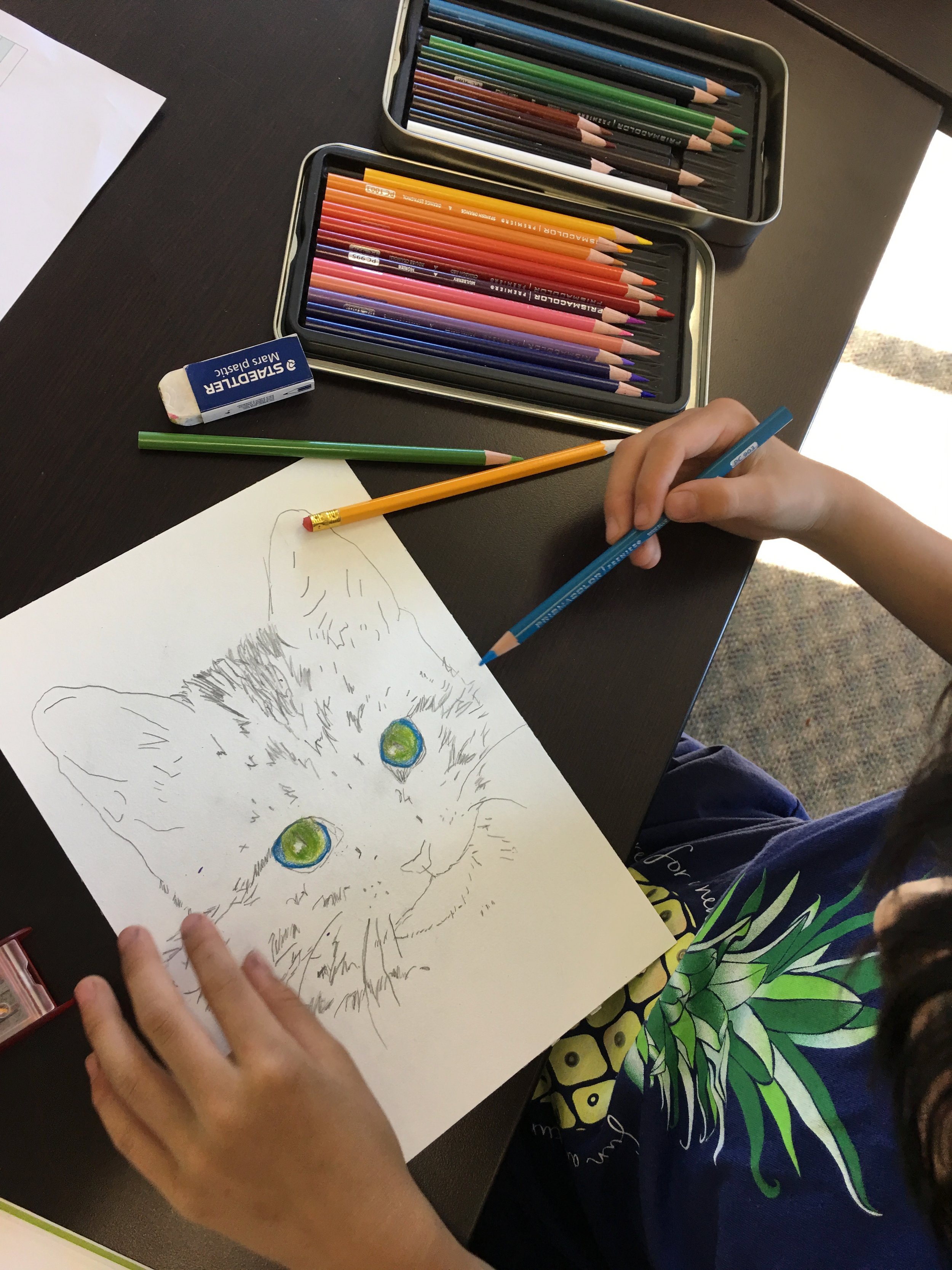 Highlights from the color pencils for kids camp — Cloud 9