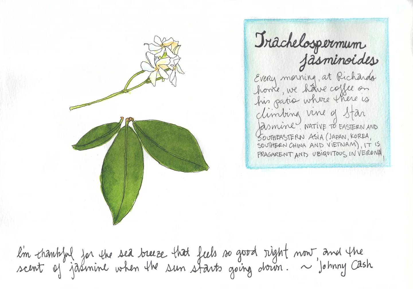 Scan 4.jpg