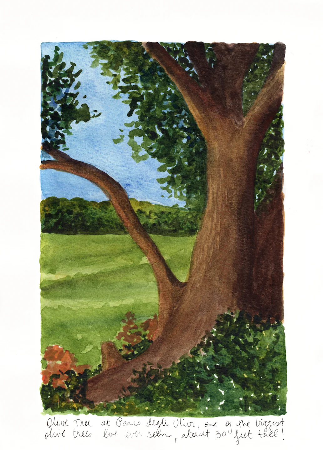 Scan 27.jpg