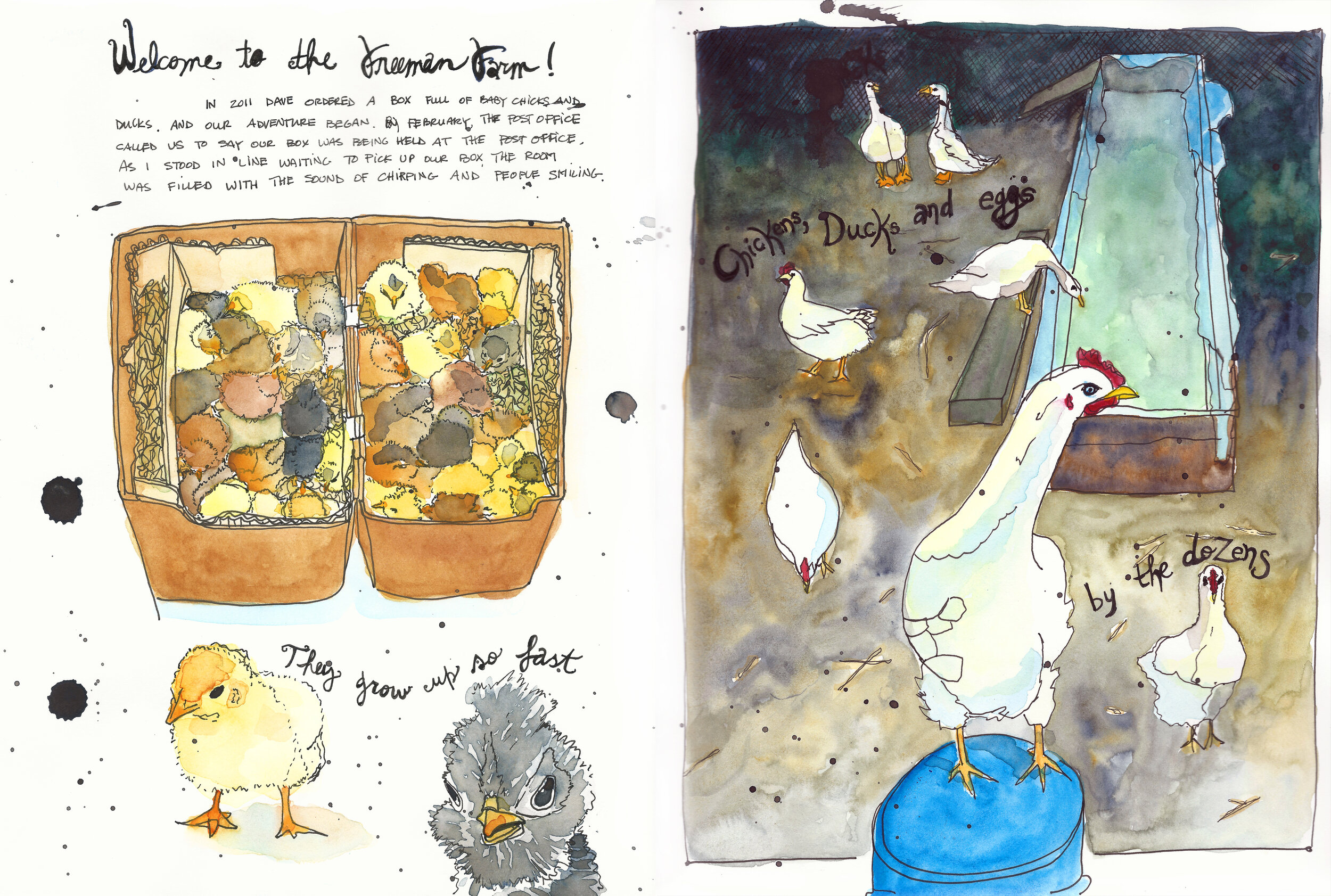 Keeping a Sketchbook Journal with Charlene Collins Freeman