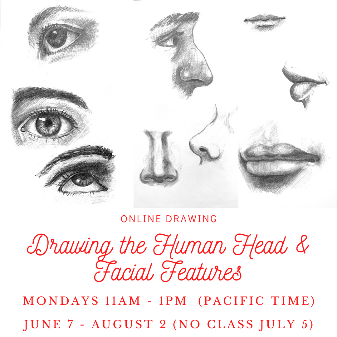 Learn How to Draw: Features of the Face