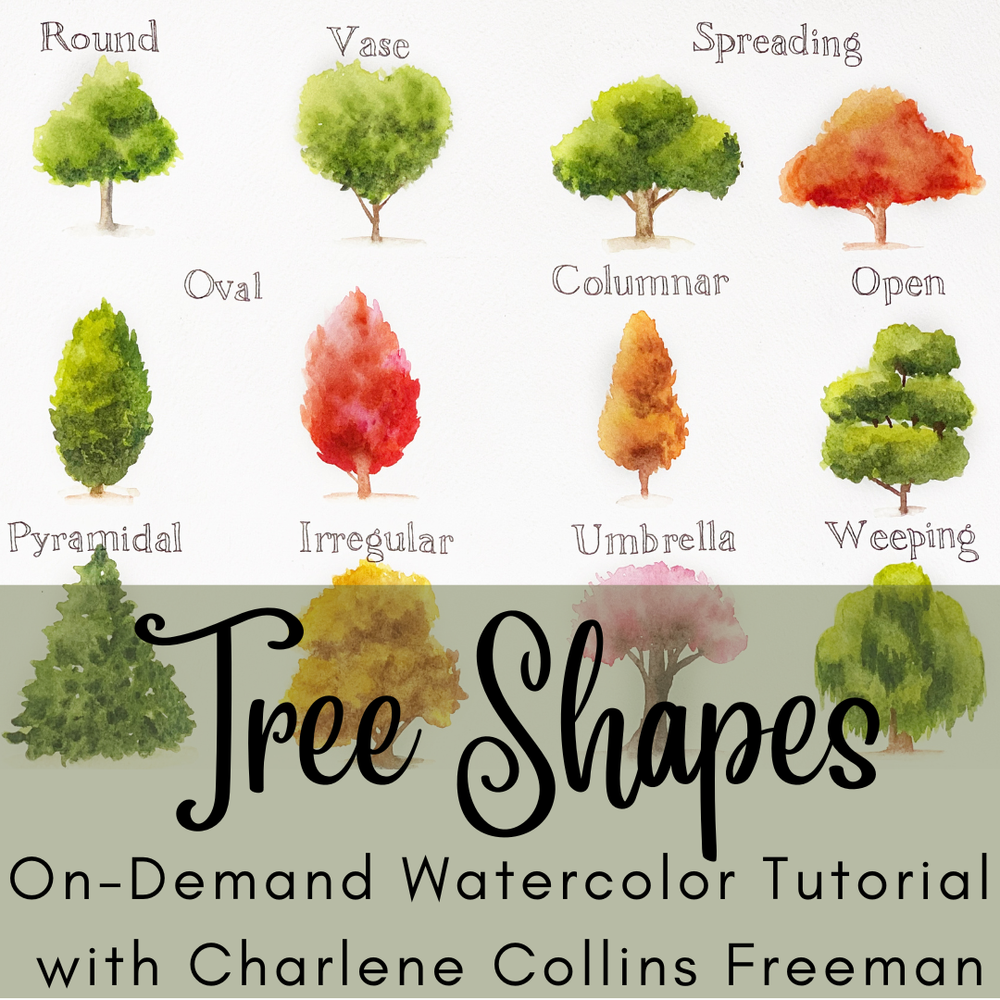 Types Of Tree Shape