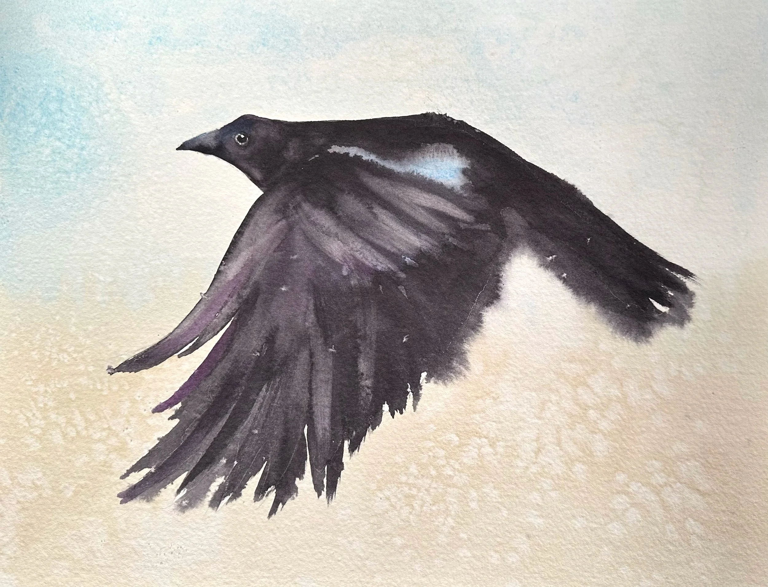 05 Winter Flight Finished 3.jpeg