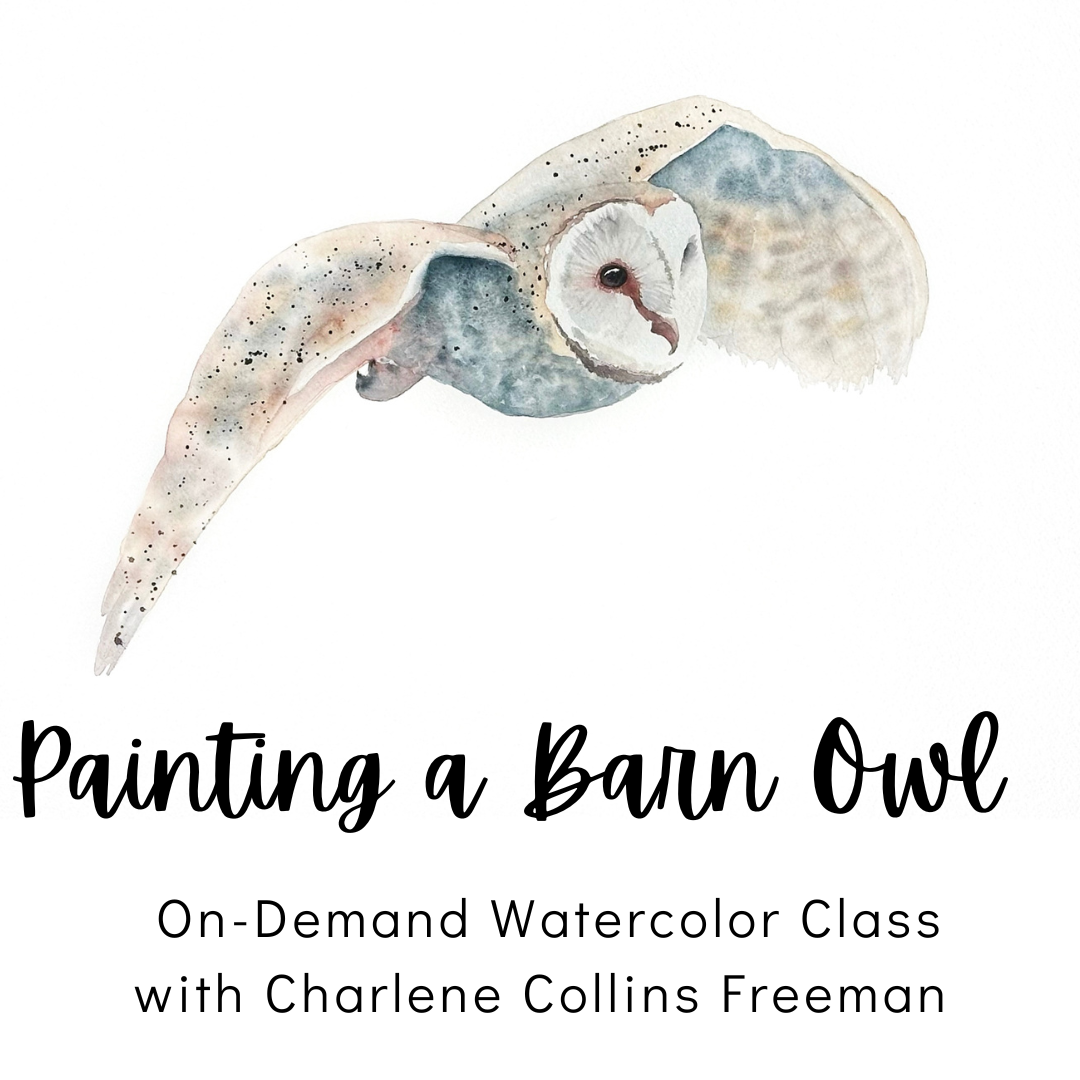 On-Demand Owl in Flight.png