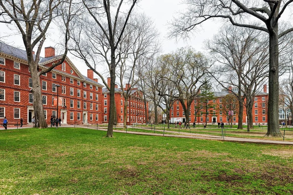 harvard-university-students.jpg