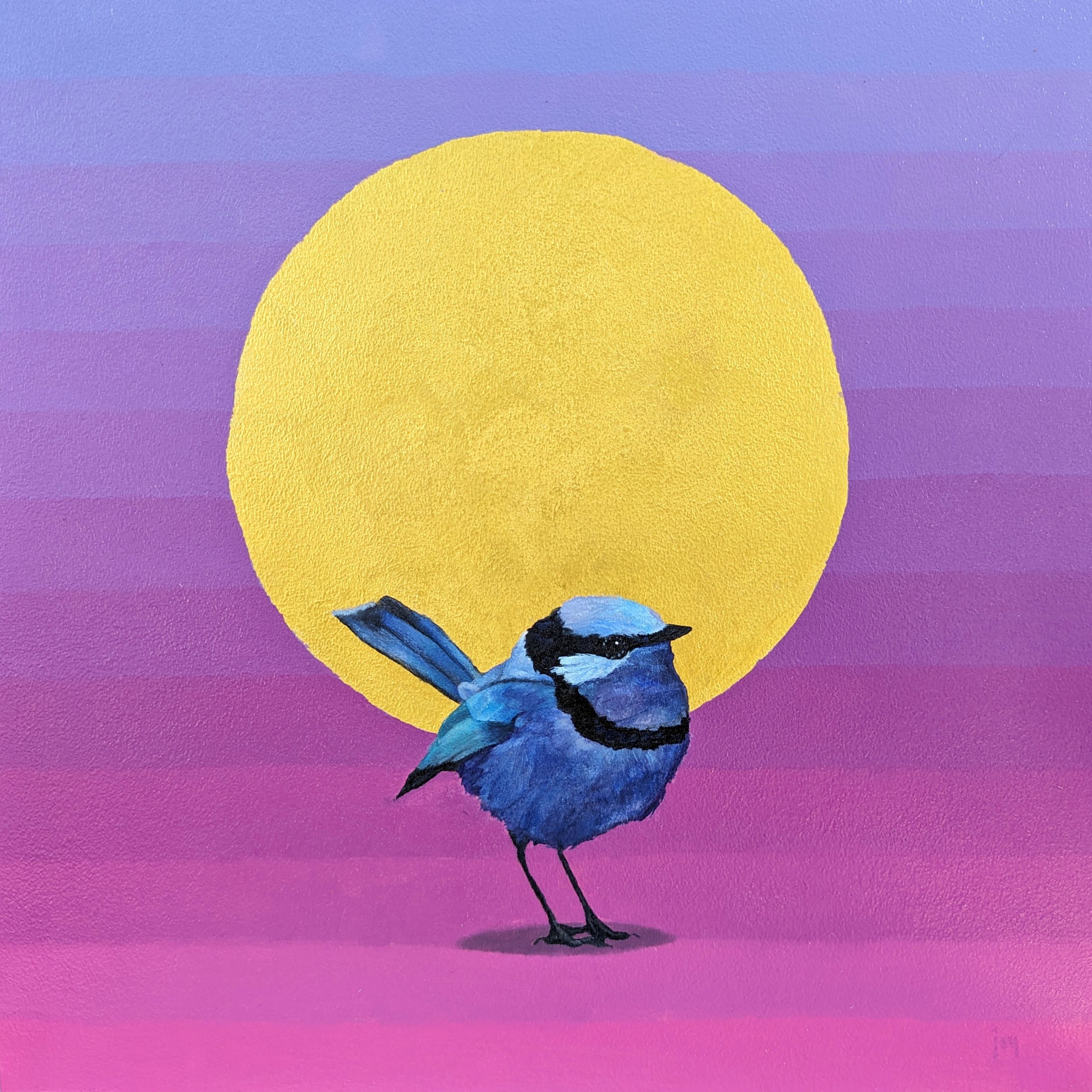 Innocents Series- Splendid Fairy Wren