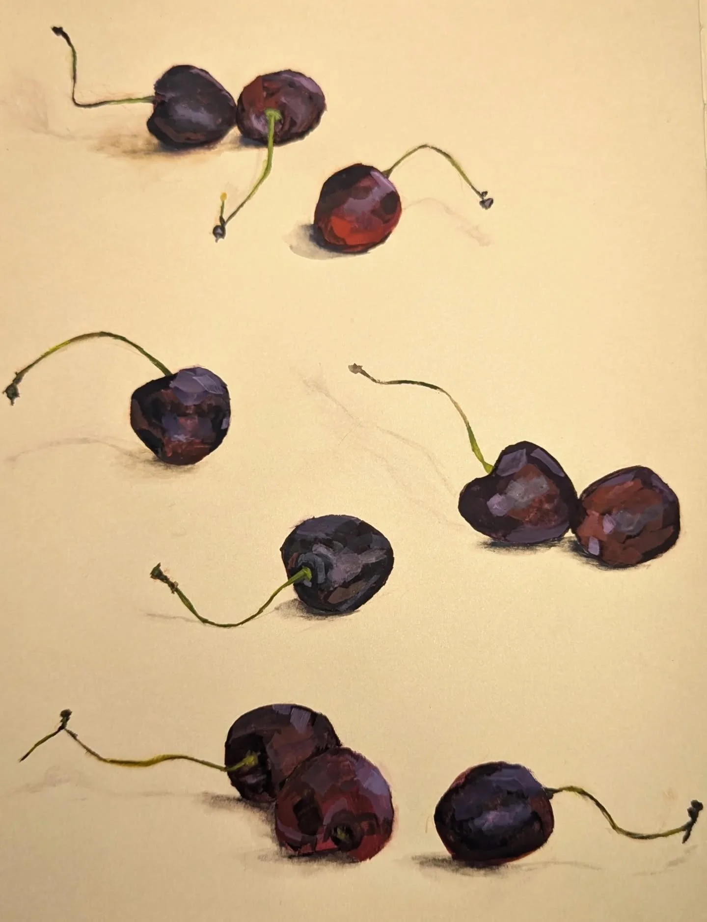 cherry szn🍒☀️

#sketchbookpainting #gouachepainting #gouacheillustration #summerfruit #blackcherry