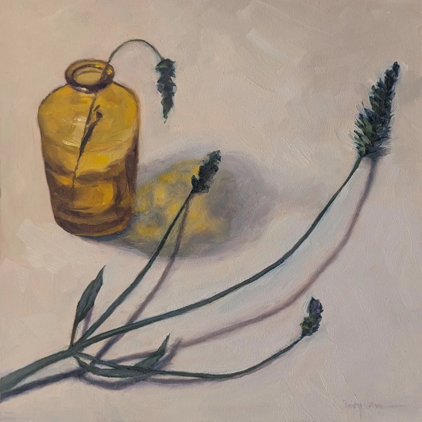 Amber jar with lavender from the yard 
6&quot;x6&quot; oil on panel 

#oilpaintingstudy #stilllifestudy #stilllifepainting #looserealism #oilpaintingart #dailypainting #oilpaintings #glassjar #glasspainting