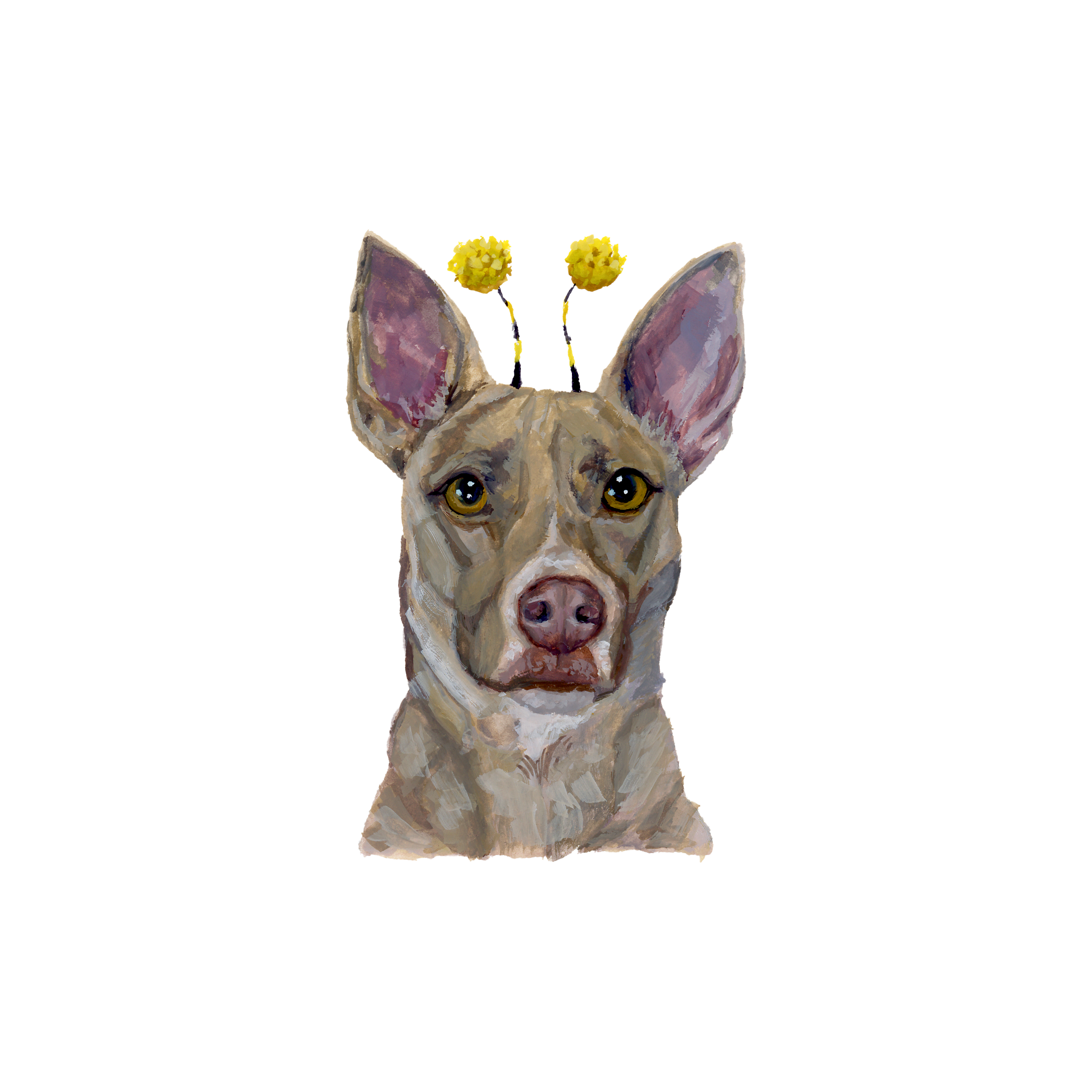 Penny