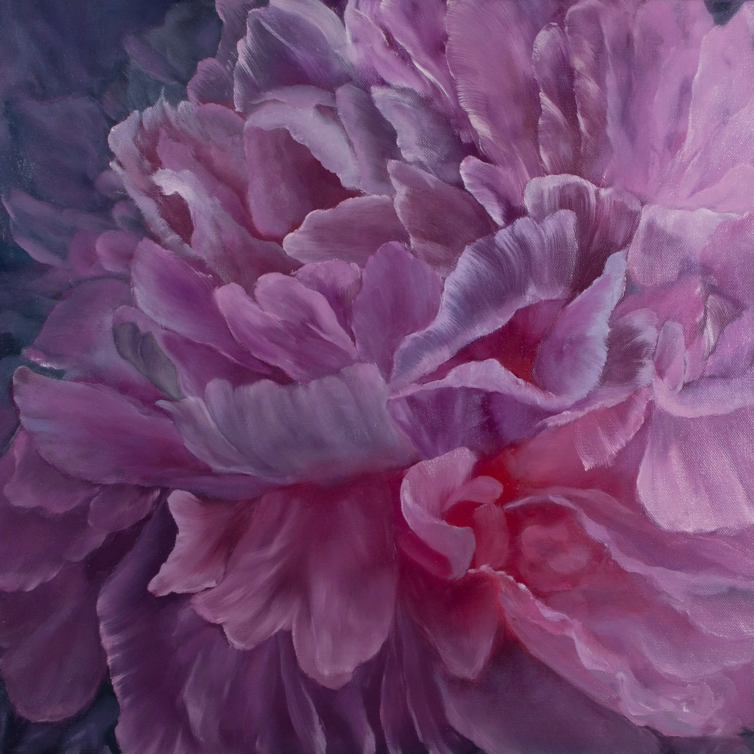 Peony/Interiority