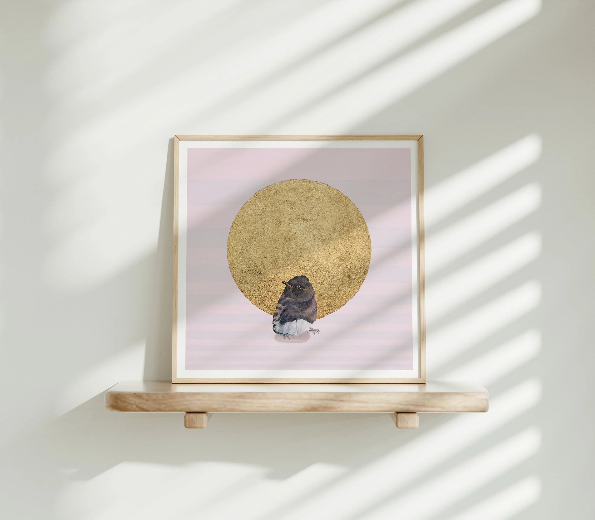 blackphoebe_shadow_woodframe.jpg