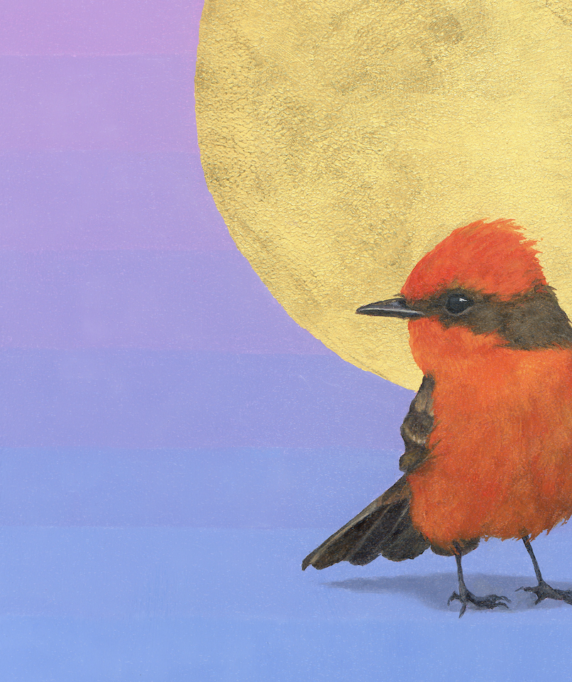 Screenshot 2025-01-17 at 11.48.21 AM.png