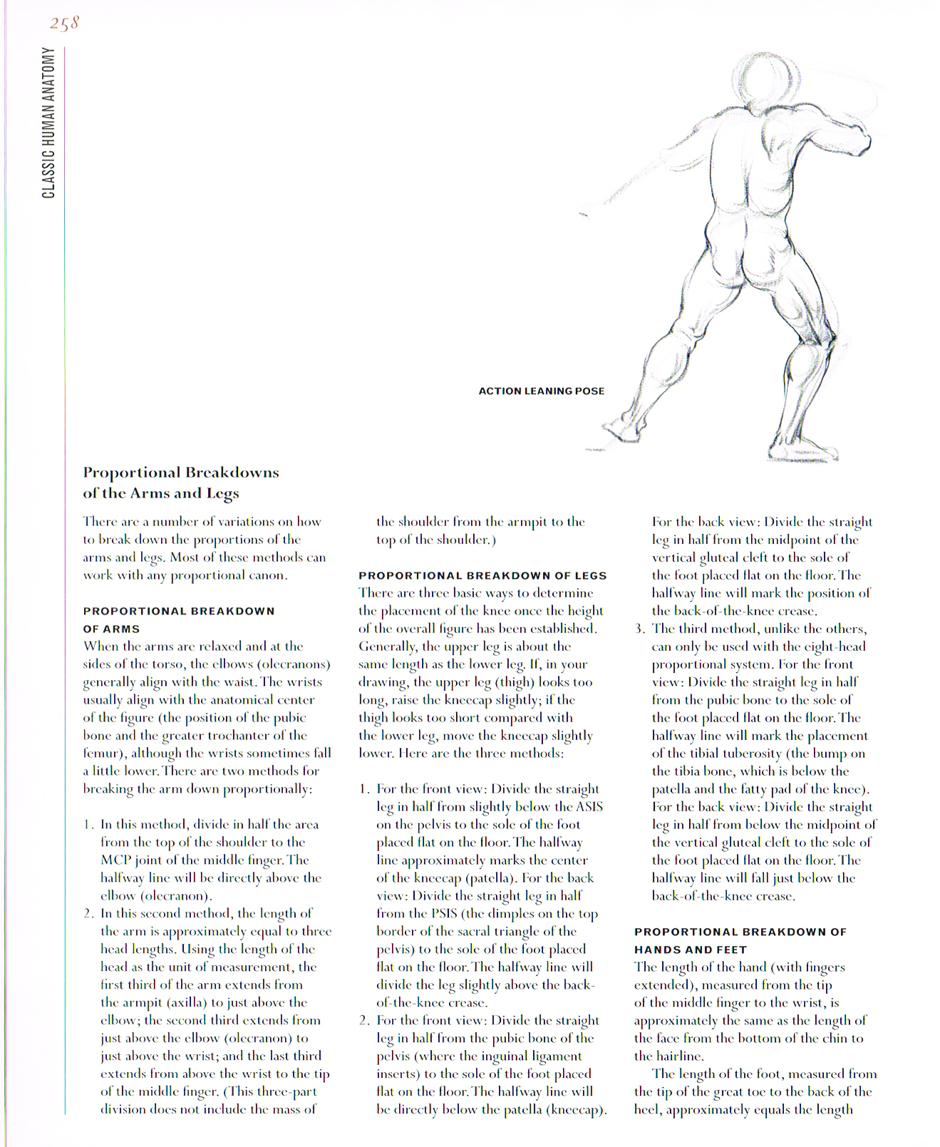 classic human anatomy,anatomy for art,anatomy drawings,anatomy proportional breakdown of arms and legs and hands and feet,anatomy proportional breakdown