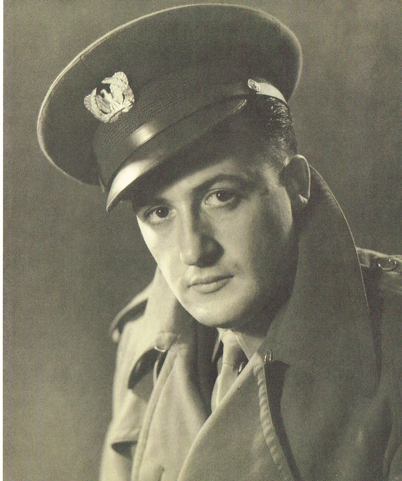 the art of will eisner,will eisner champion of the graphic novel,the spirit comic art,will eisner military portrait