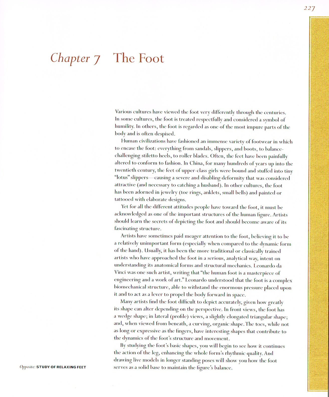 classic human anatomy,anatomy art,foot anatomy,