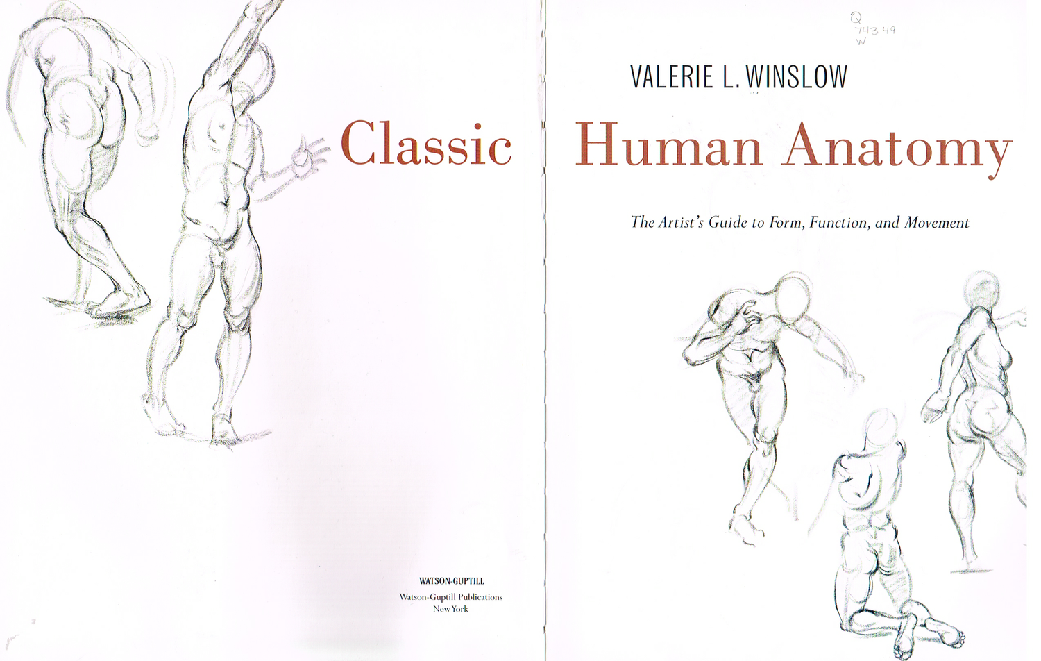 The Art of Classic Human Anatomy pt.1 — Art & Animation