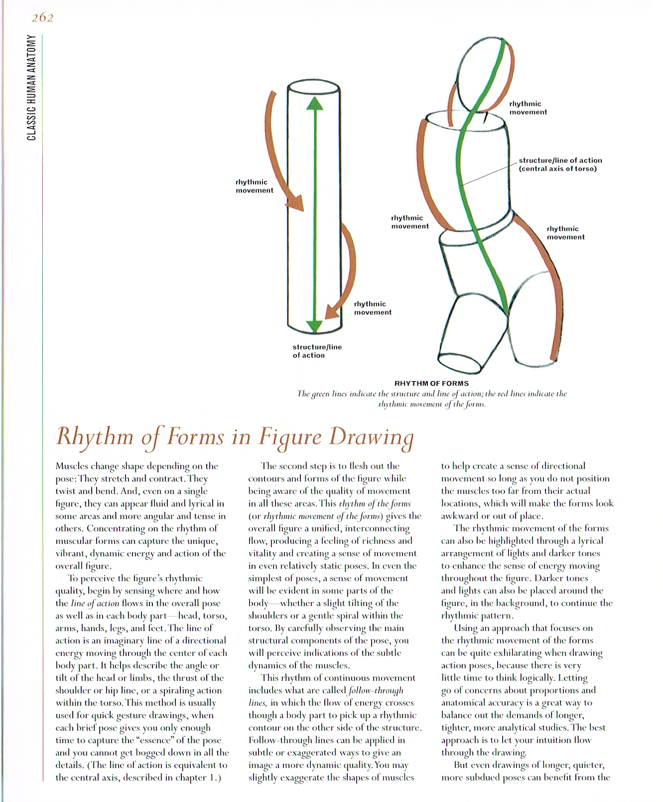 classic human anatomy,anatomy for art,anatomy drawings,anatomy proportions,rhythm of forms in figure drawing