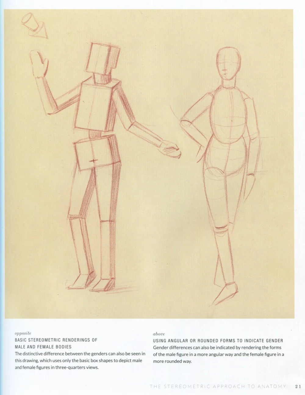 Basic Human Anatomy — Alex Escobar | Art & Animation
