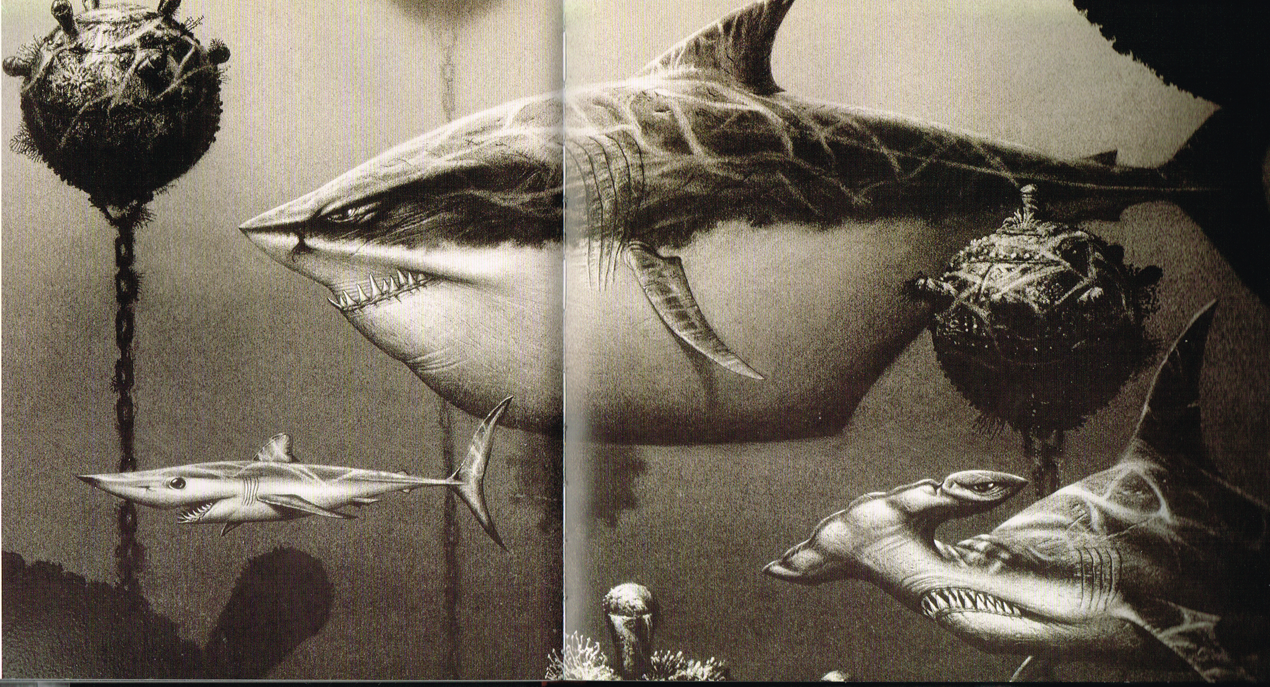 Finding Nemo Pixar Concept Art Angler Fish Art Disney Concept Art