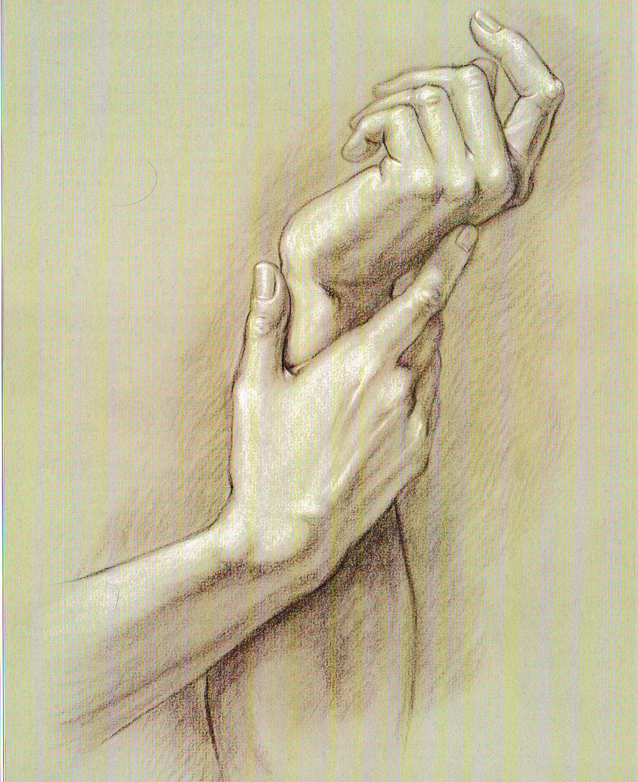 Bones of the Hand pt.1
