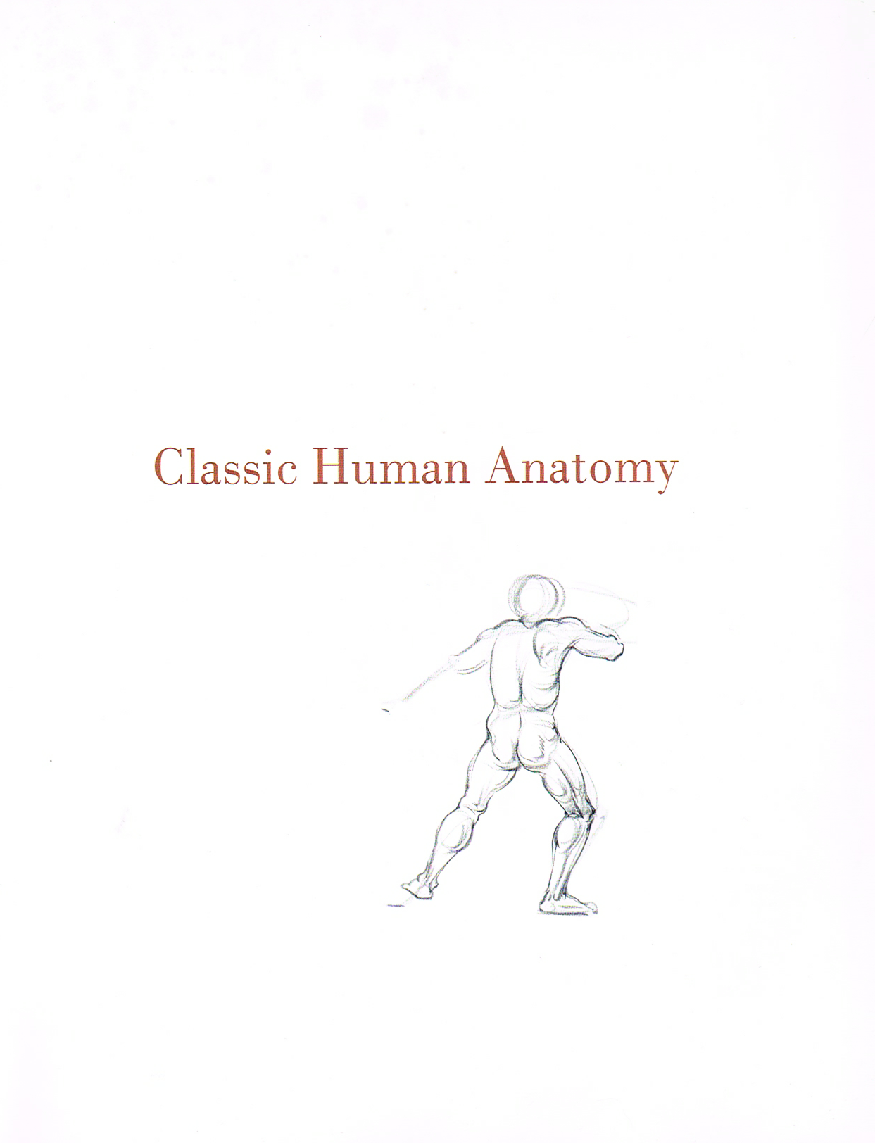 Anatomical Glossary