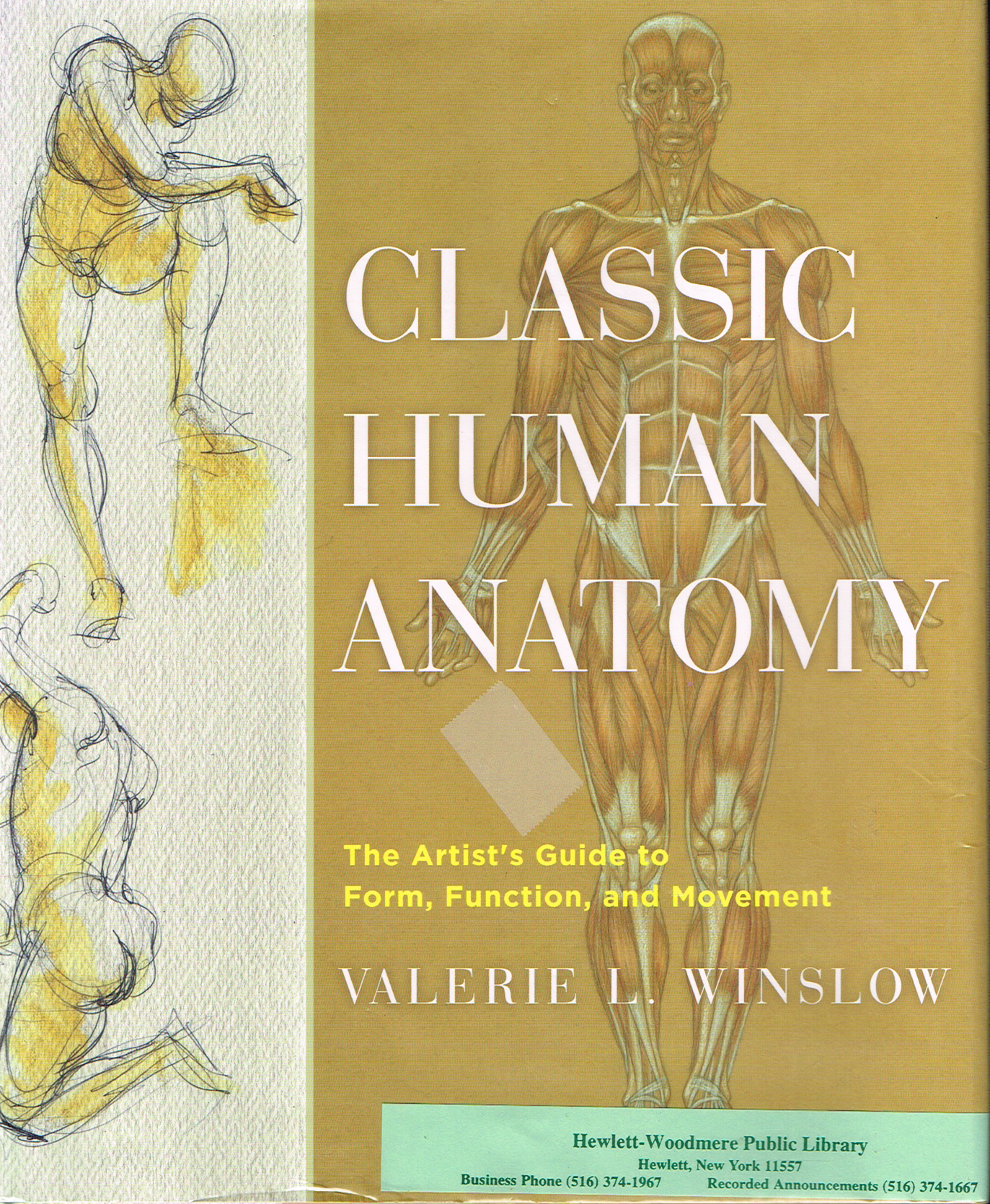Classic Human Anatomy Suggested Reading and Index
