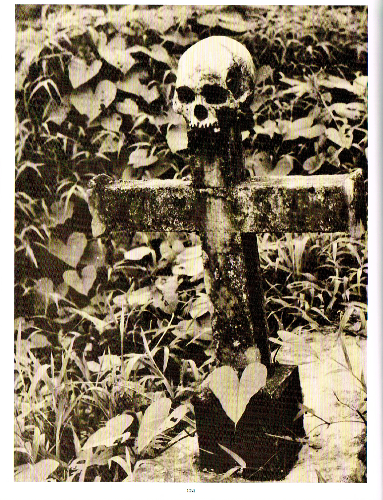 the art of death a graveside companion,death a graveside companion, skull on grave photo