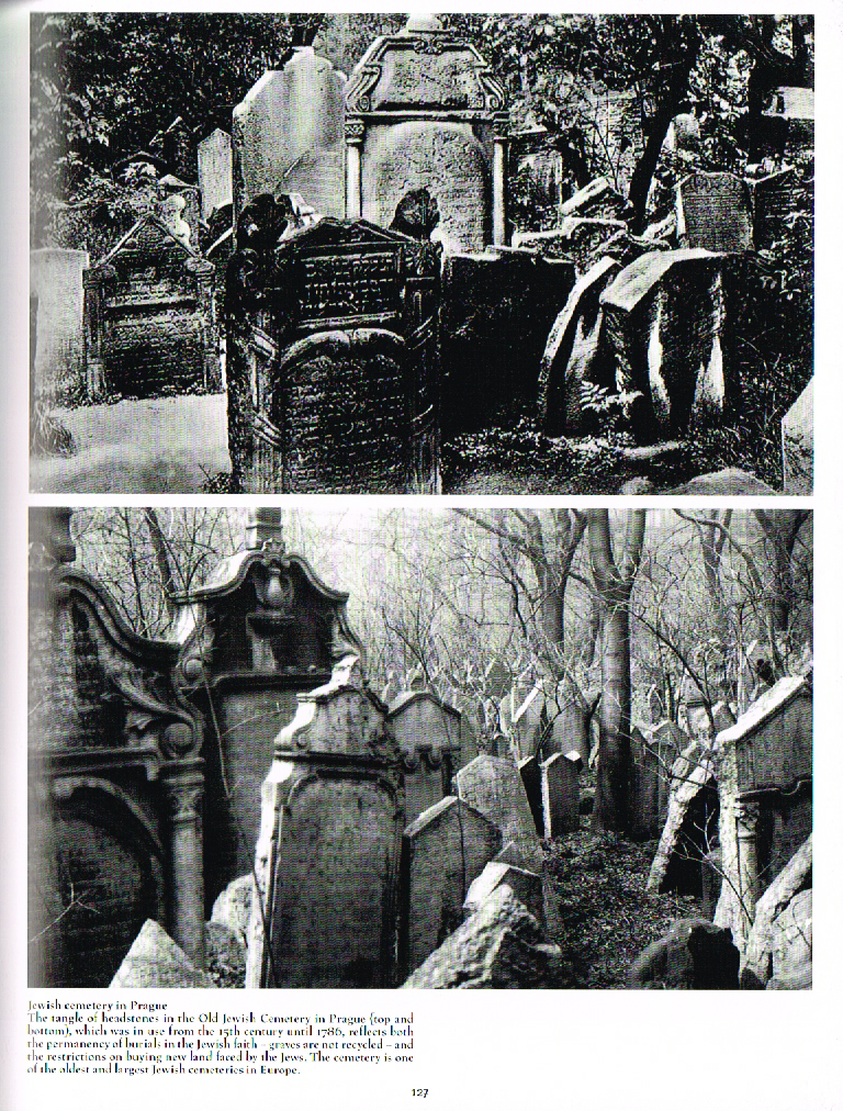 the art of death a graveside companion,death a graveside companion, photo of jewish cemetery prague,cemetery photo prague