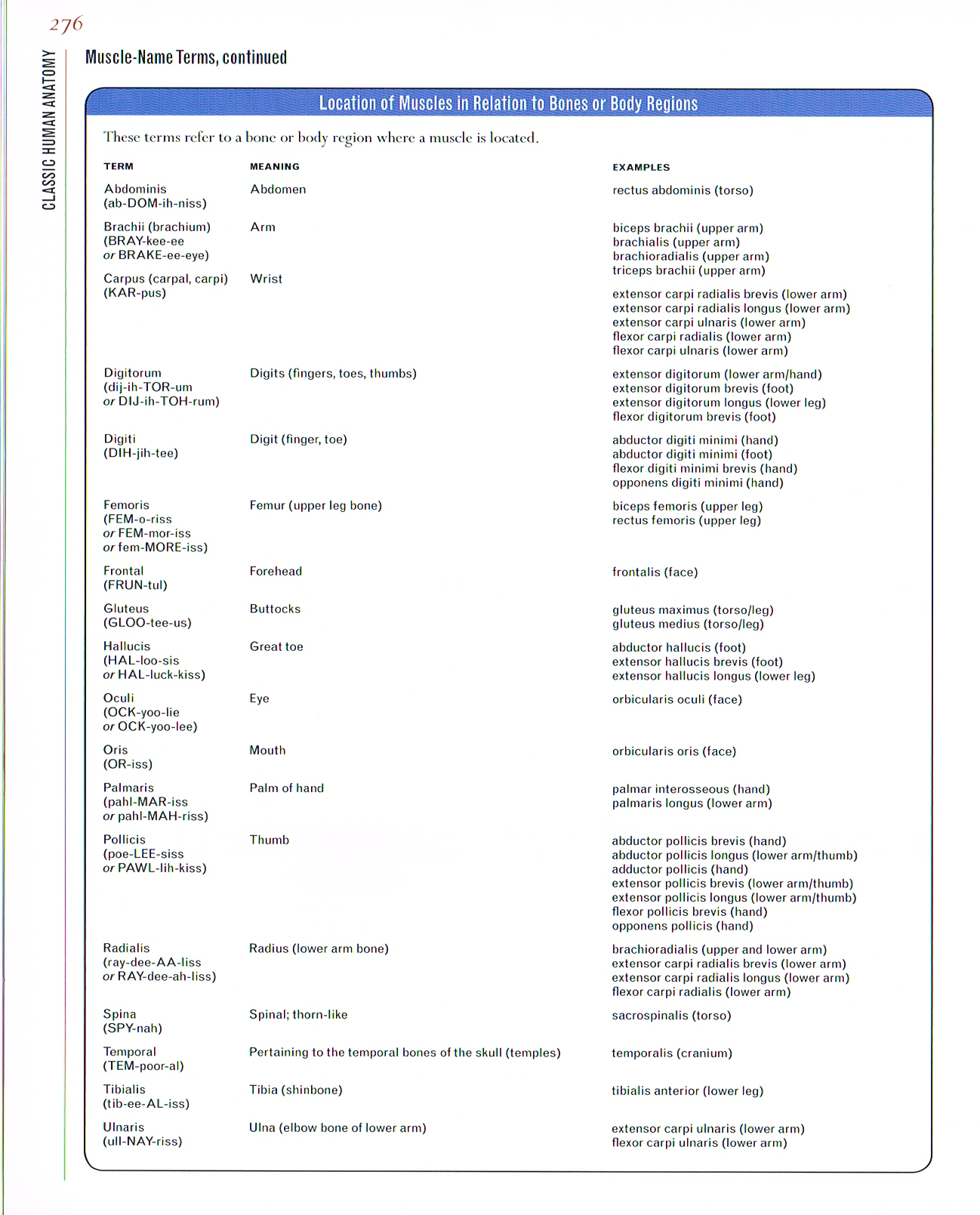 classic human anatomy,anatomy art,anatomical terminology guide,valerie l winslow,anatomy terminology