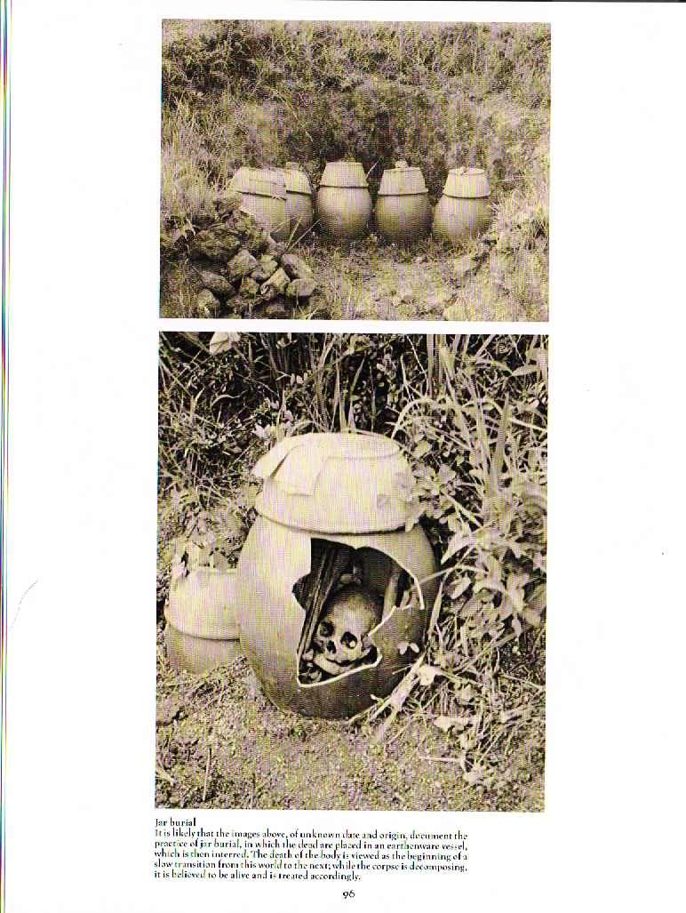 death a graveside companion,the art of death a graveside companion, jar burial photo, skeleton in jar photo