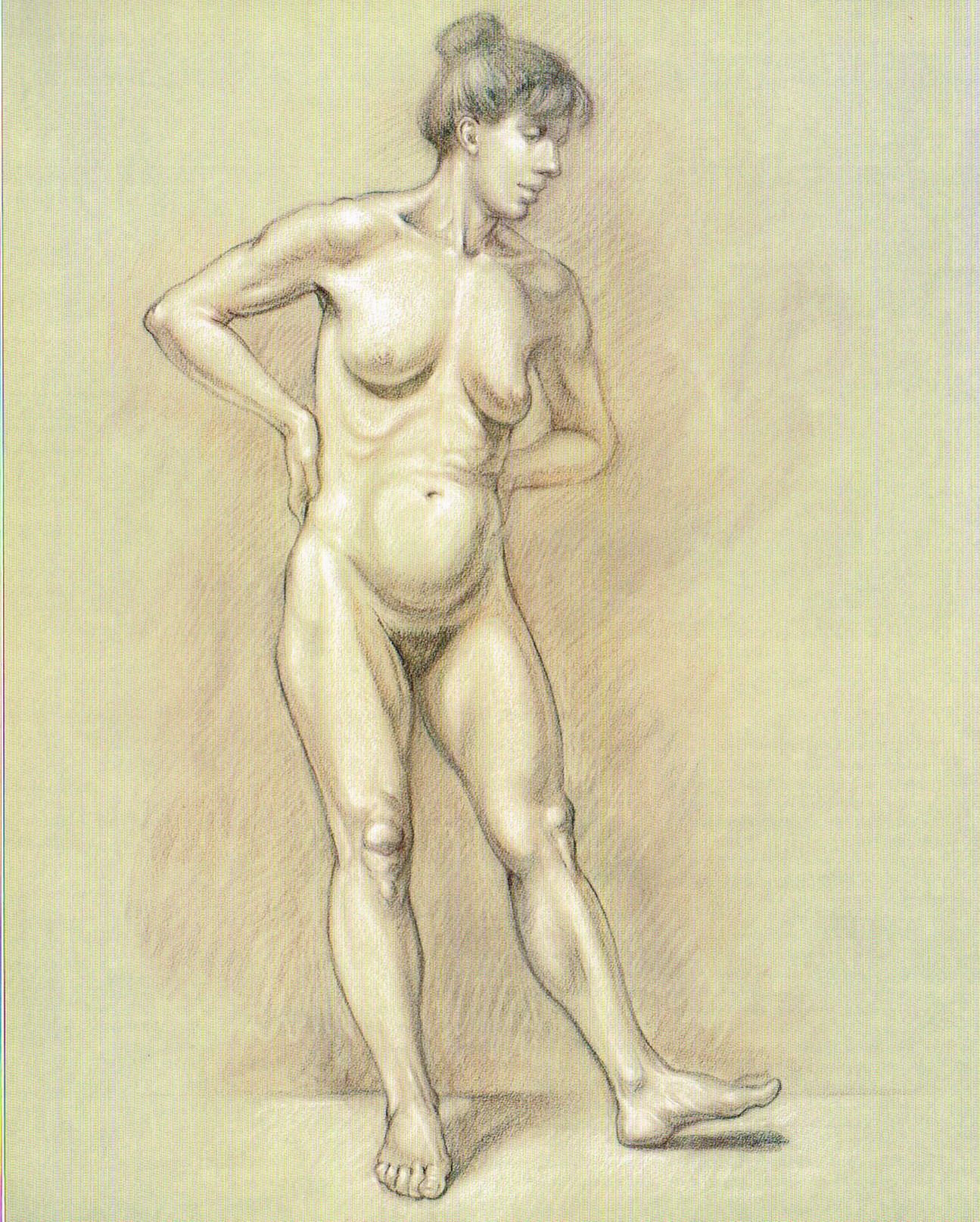 classic human anatomy,anatomy art,valerie l winslow,anatomy drawings,the figure anatomy drawings,