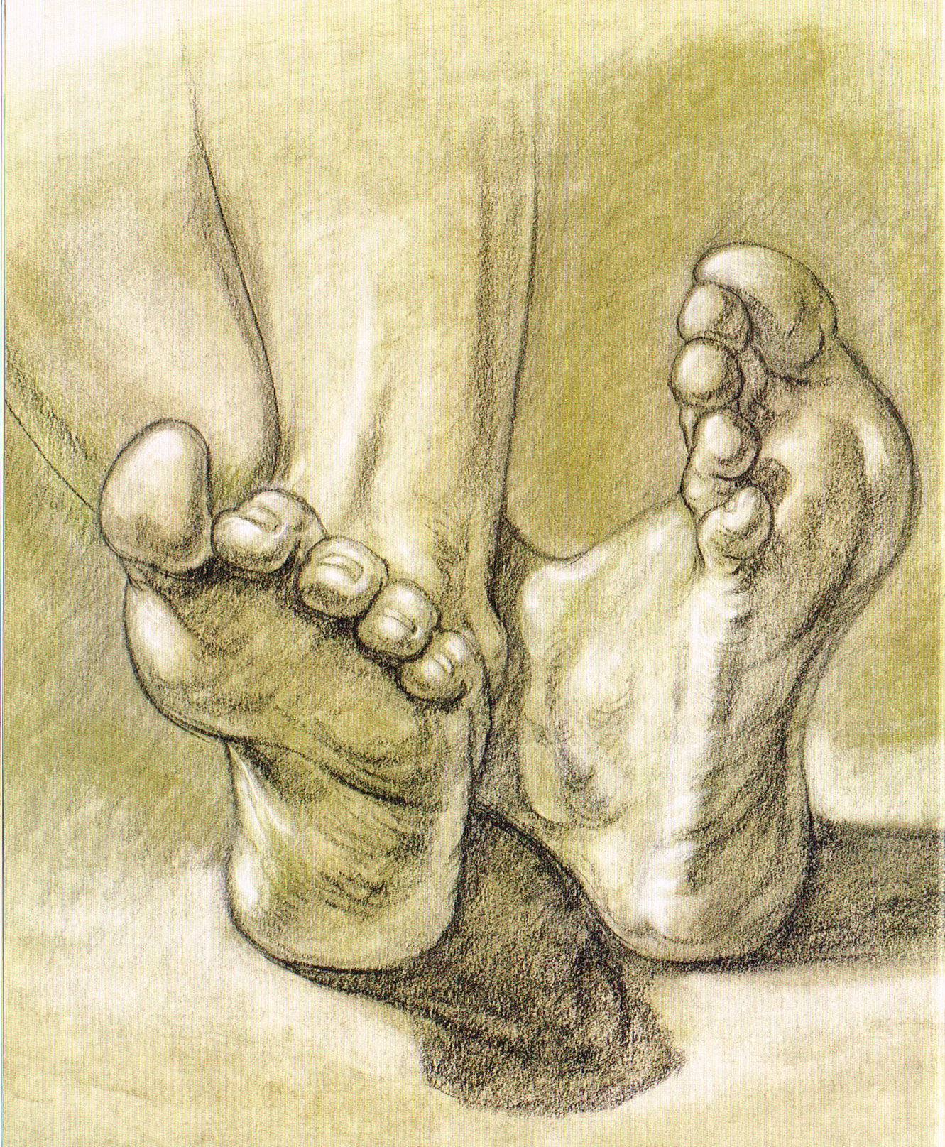 classic human anatomy,anatomy art,foot anatomy, study of relaxing foot