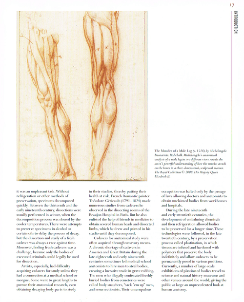 The Art of Classic Human Anatomy pt.1 — Art & Animation