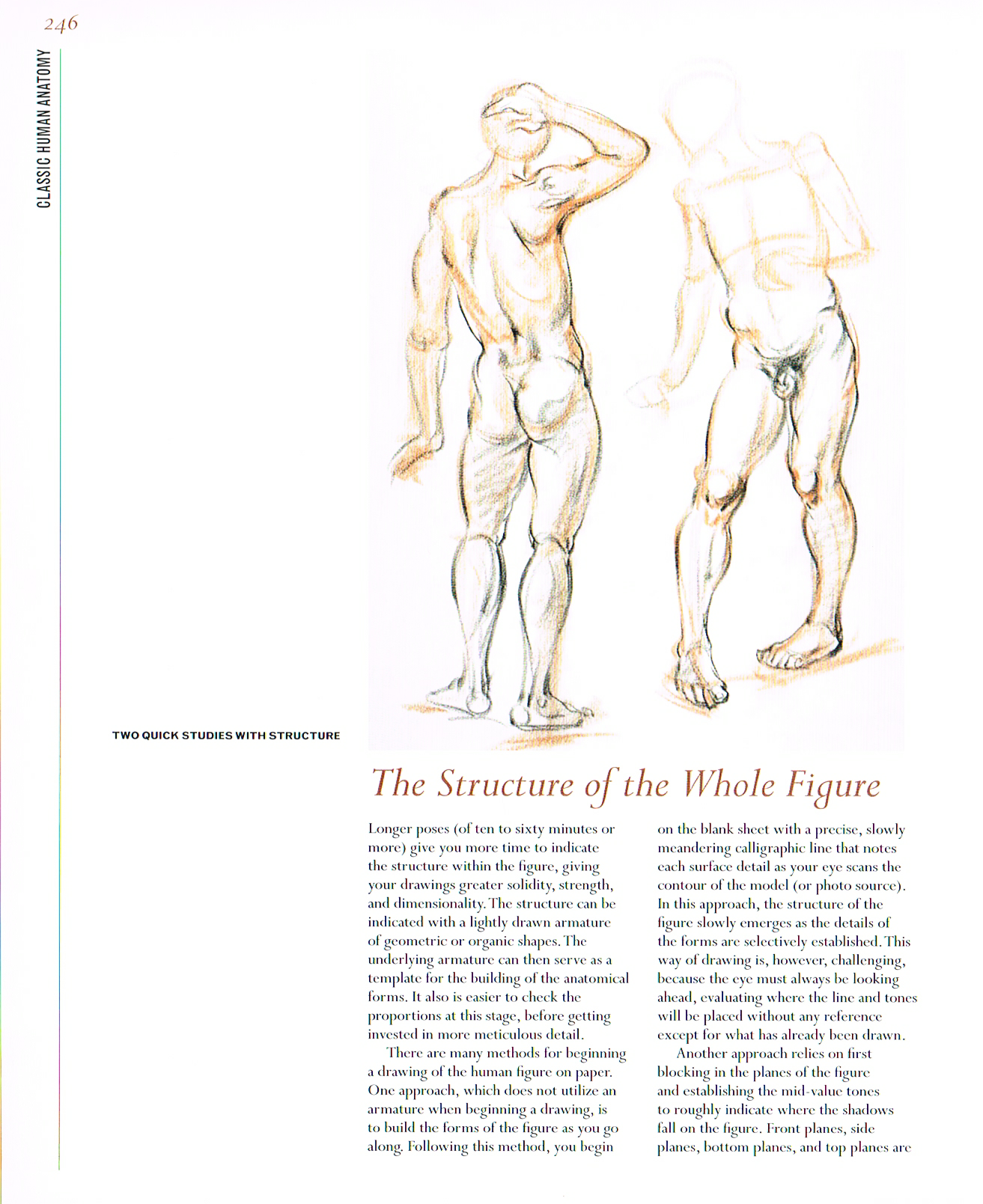 classic human anatomy,anatomy art,valerie l winslow,anatomy drawings,the figure anatomy drawings,