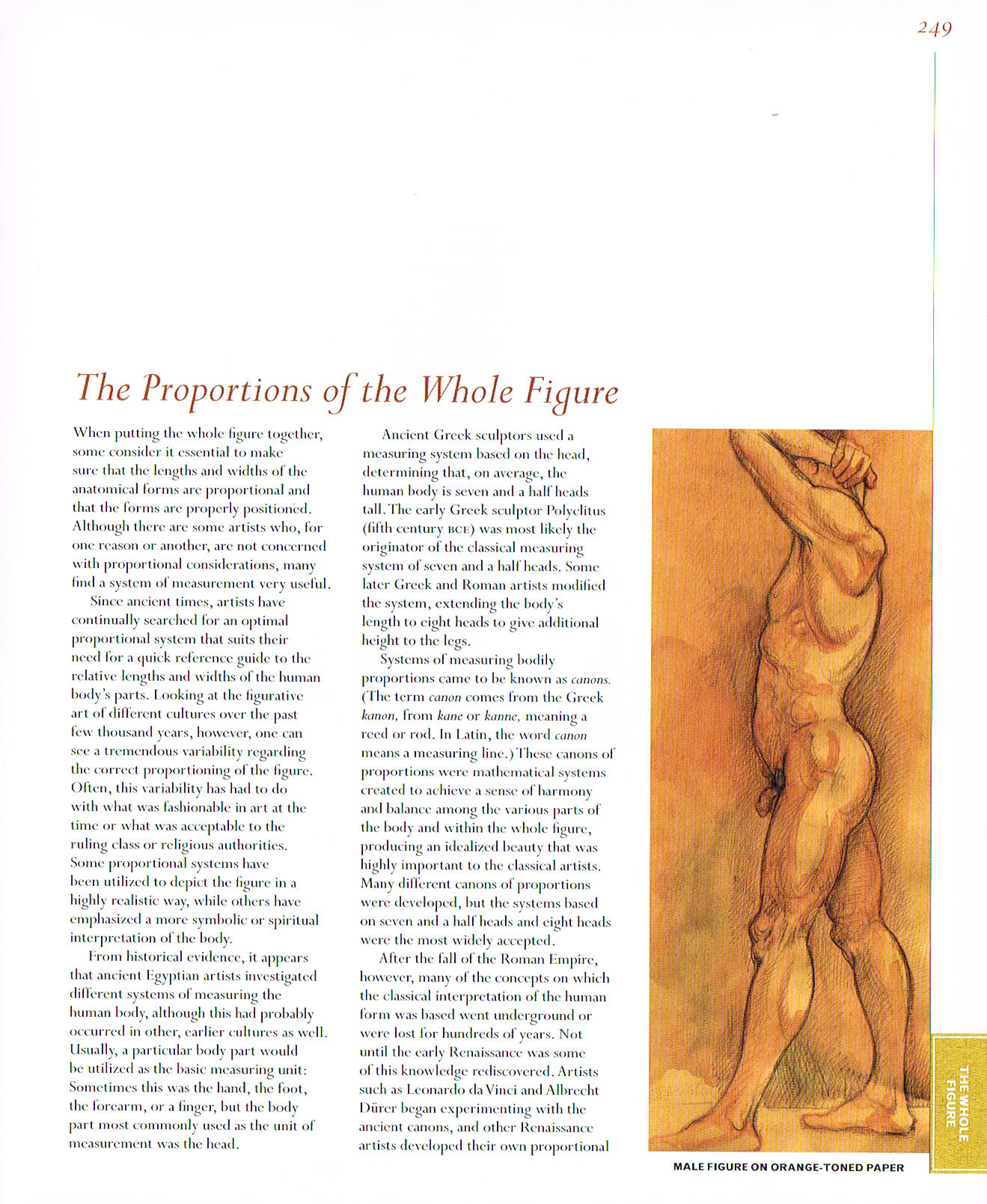 classic human anatomy,anatomy art,valerie l winslow,anatomy drawings,the figure anatomy drawings,proportions of the whole figure
