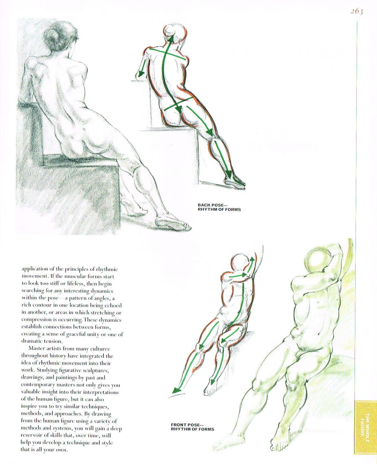 classic human anatomy,anatomy for art,anatomy drawings,anatomy proportions,rhythm of form in figure drawing