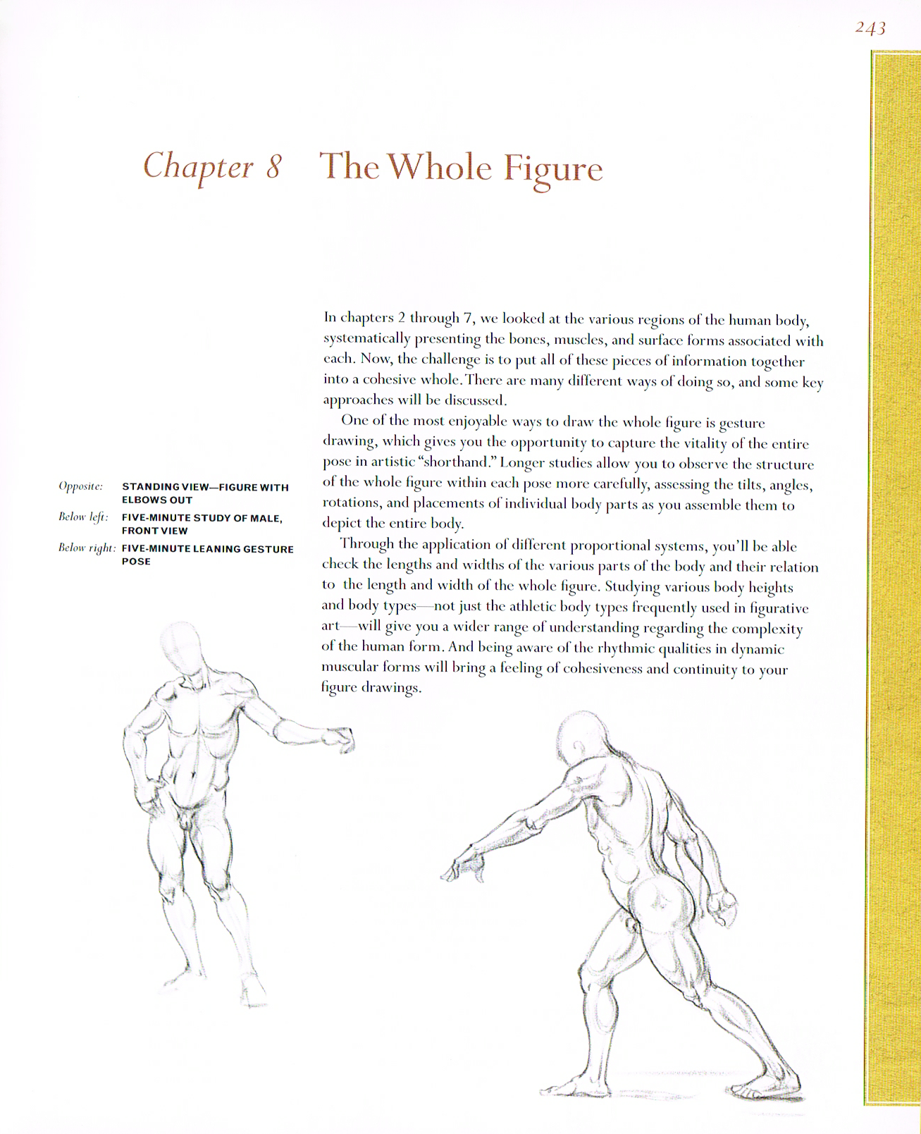 classic human anatomy,anatomy art,valerie l winslow,anatomy drawings,the figure anatomy drawings,gesture drawings