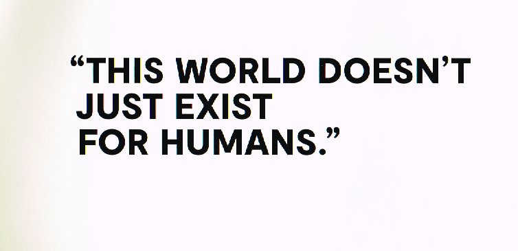 the art of hayao Miyazaki,hayao Miyazaki art