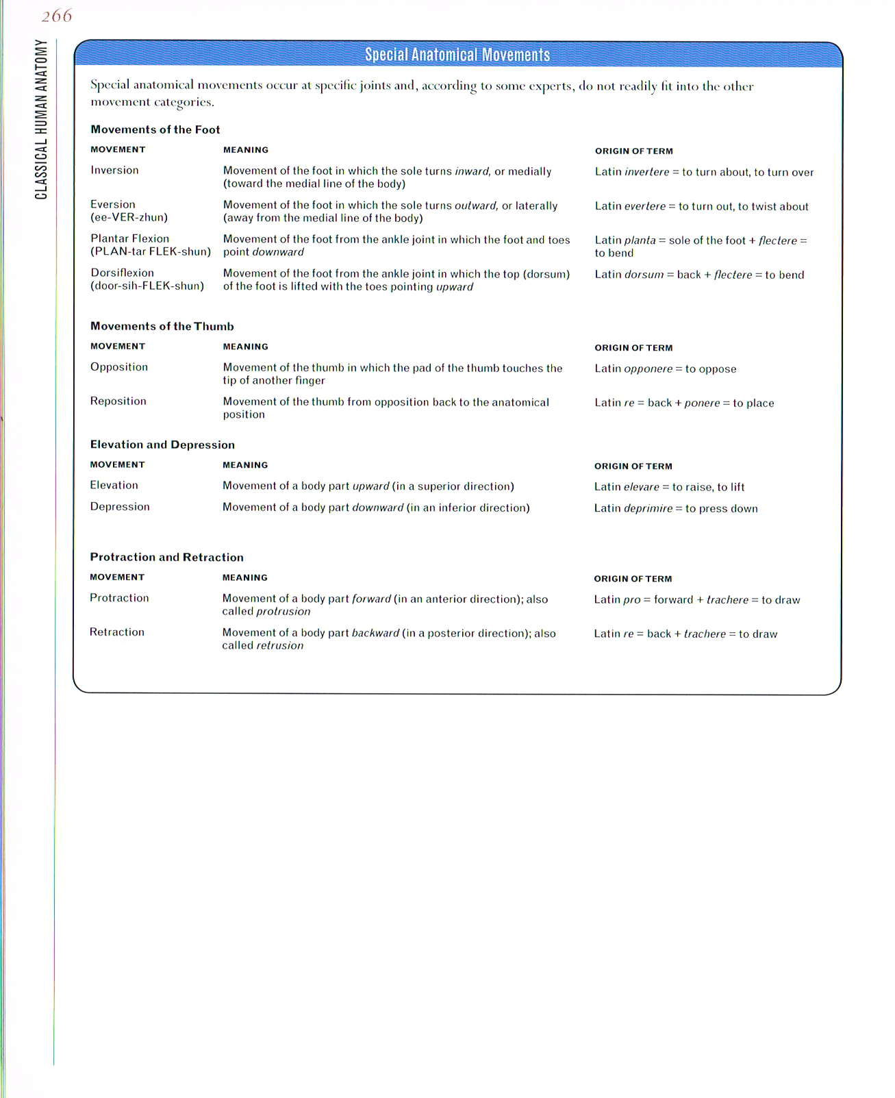 classic human anatomy,anatomy art,anatomical terminology guide,valerie l winslow,anatomy terminology
