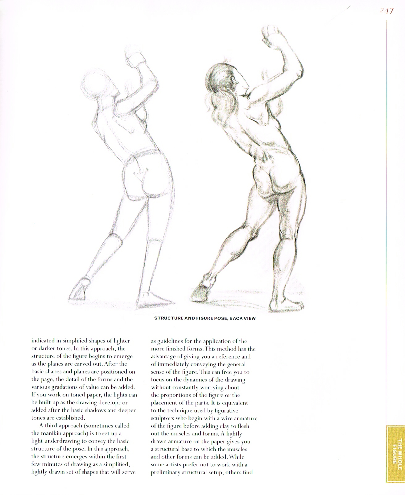 classic human anatomy,anatomy art,valerie l winslow,anatomy drawings,the figure anatomy drawings,
