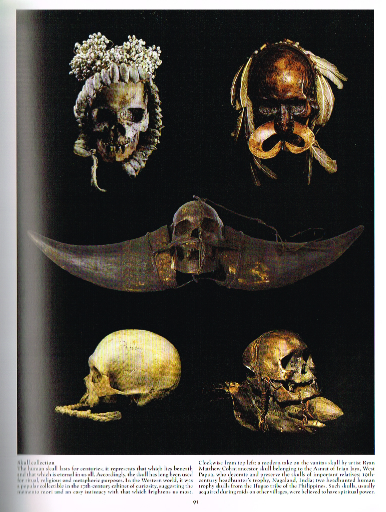 skull collection photo,ryan matthew cohn skull picture,skulls of asmat of irian jaya west papua,headhunted human trophy skulls ifugao tribe philippines,skulls from tribes,philippine ifugao tribe skulls,death a graveside companion