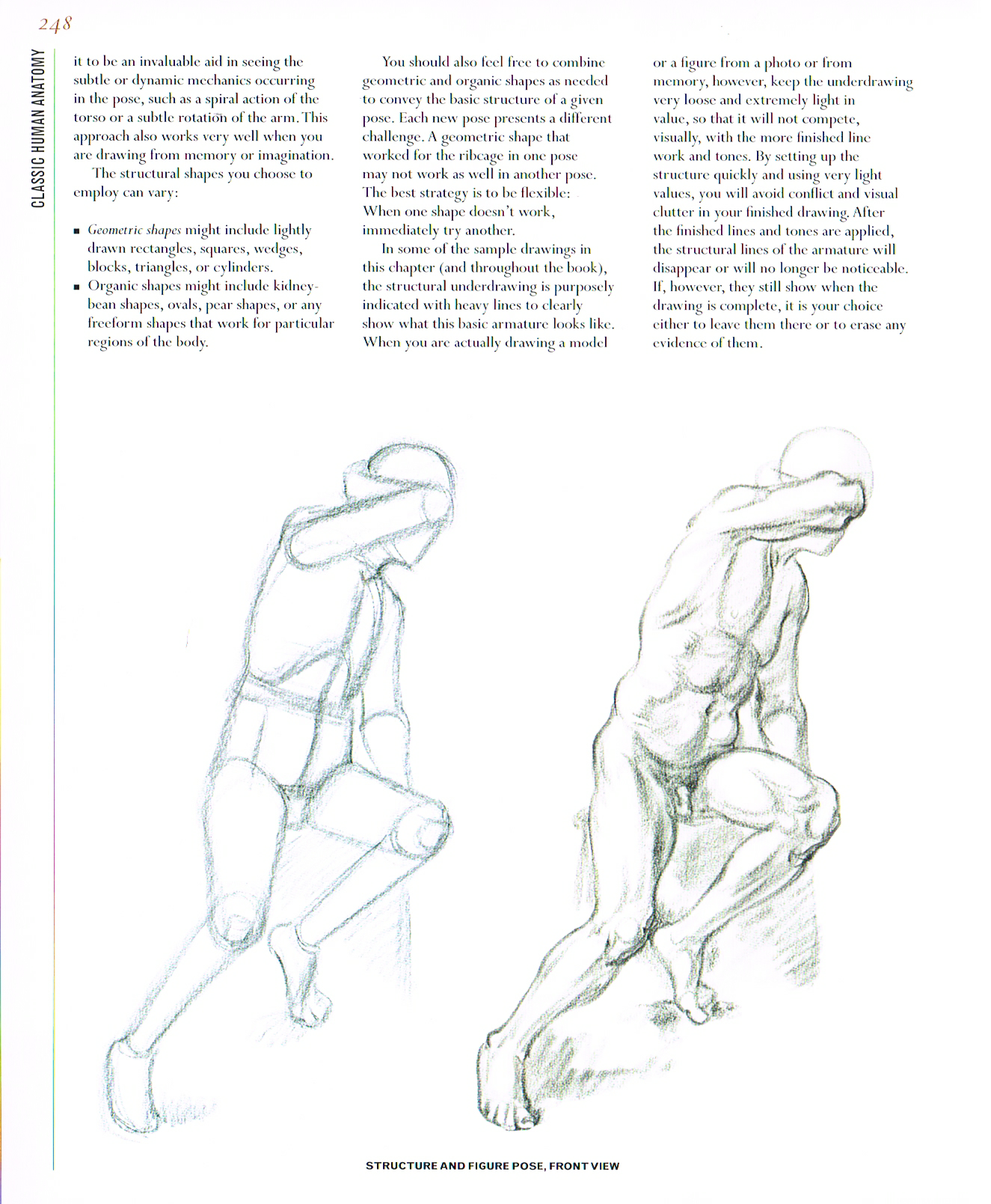 classic human anatomy,anatomy art,valerie l winslow,anatomy drawings,the figure anatomy drawings,