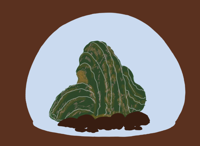 production blog, cactus sketch