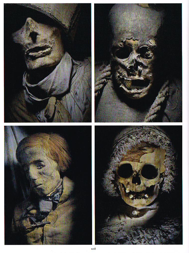 the art of death a graveside companion,death a graveside companion,palermos mummies,carlo vannini photo of mummies