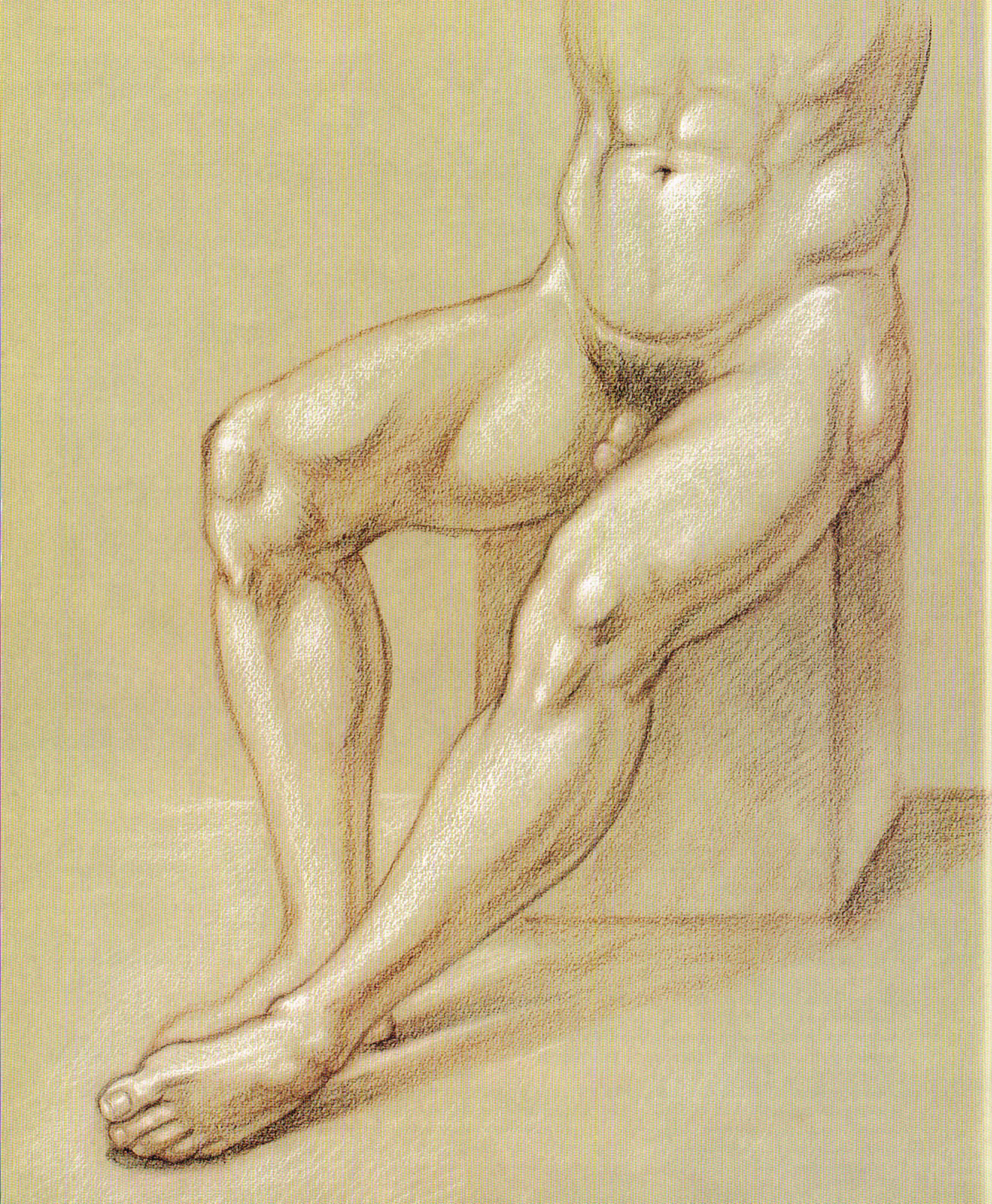 classic human anatomy,anatomy art,seated figure study of legs drawings,anatomy drawings,valerie l Winslow,