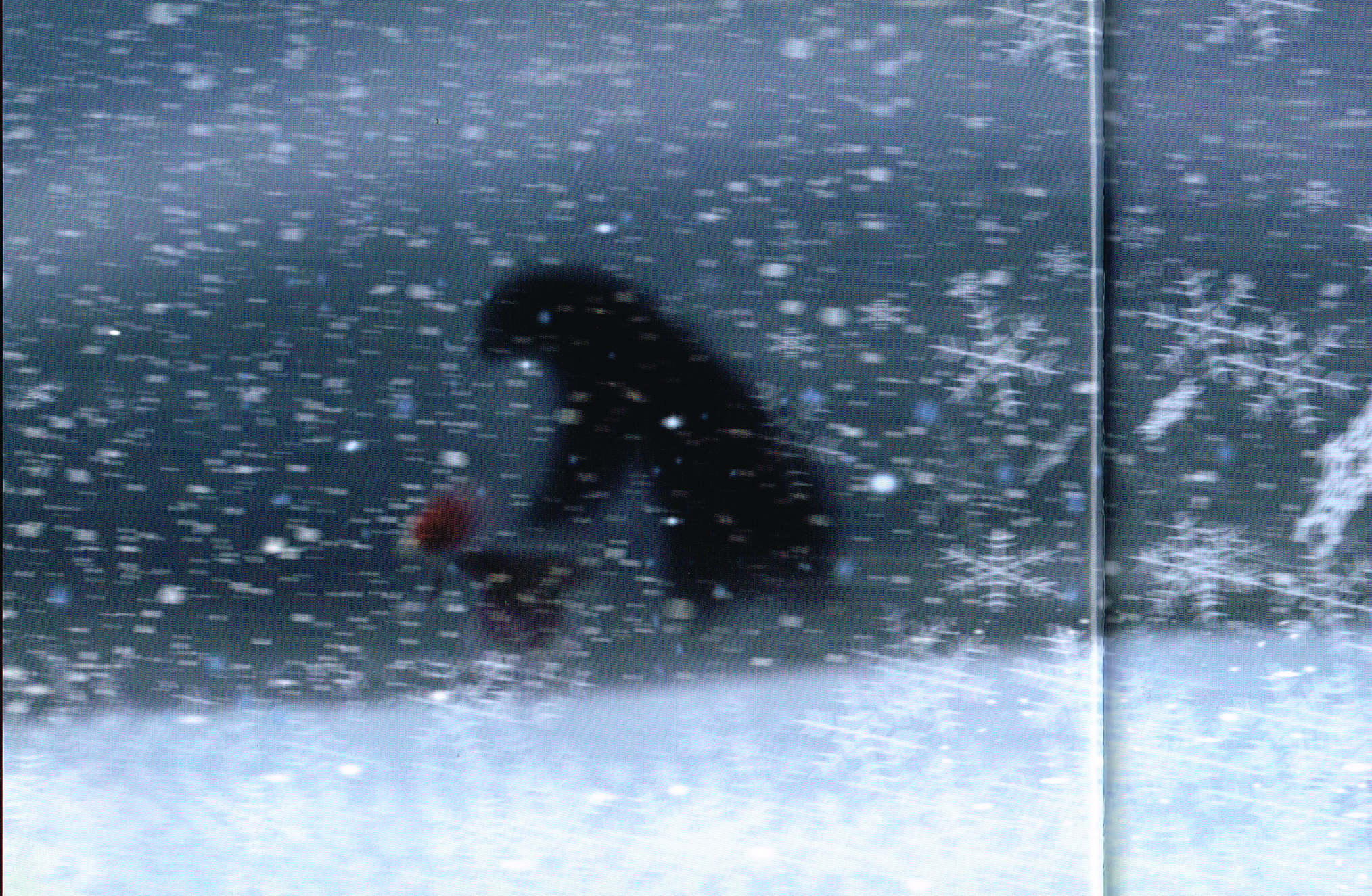 the art of brave,brave concept art,steve pilcher art