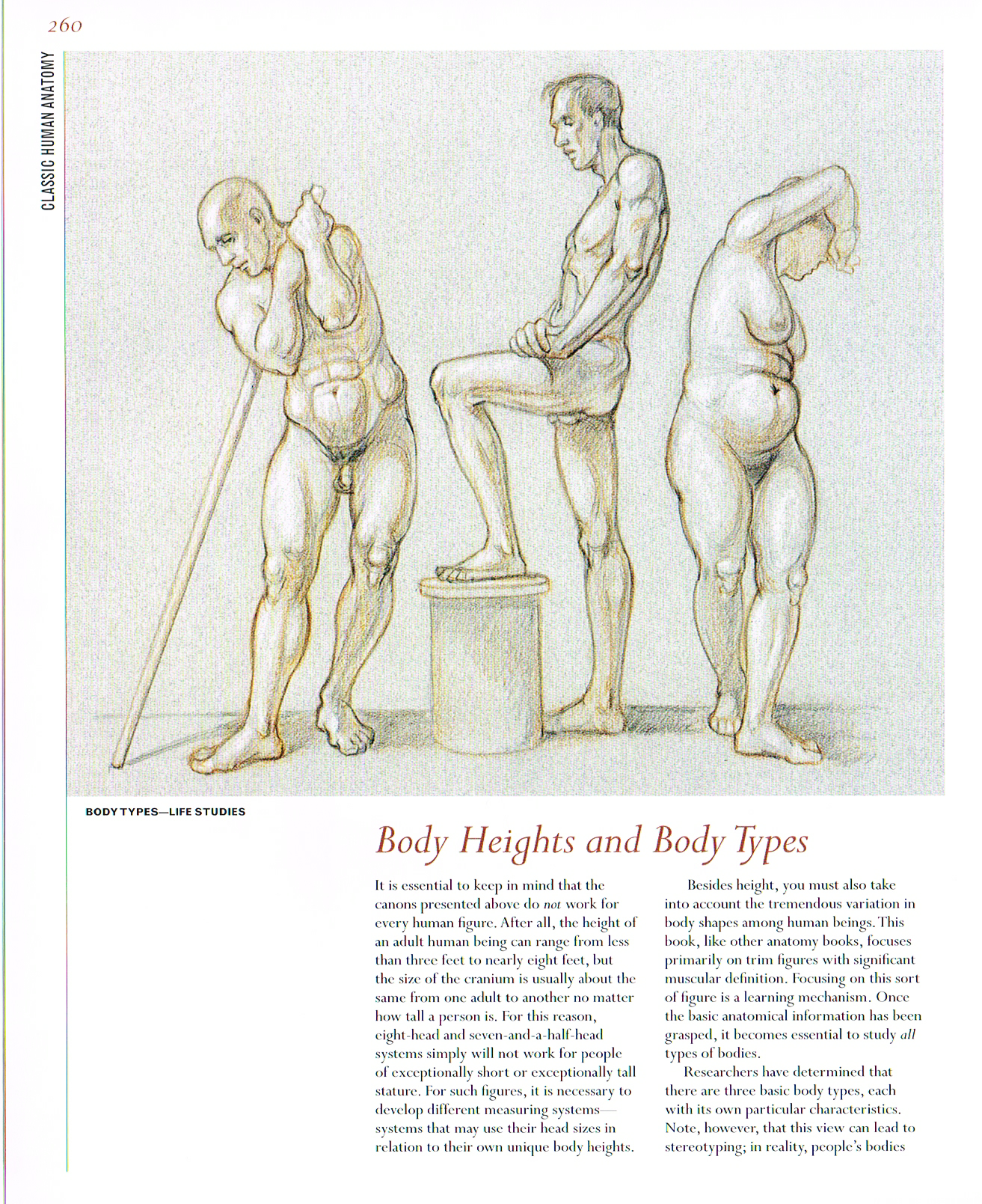 classic human anatomy,anatomy for art,anatomy drawings,anatomy proportions,body heights and body types male anatomy chart