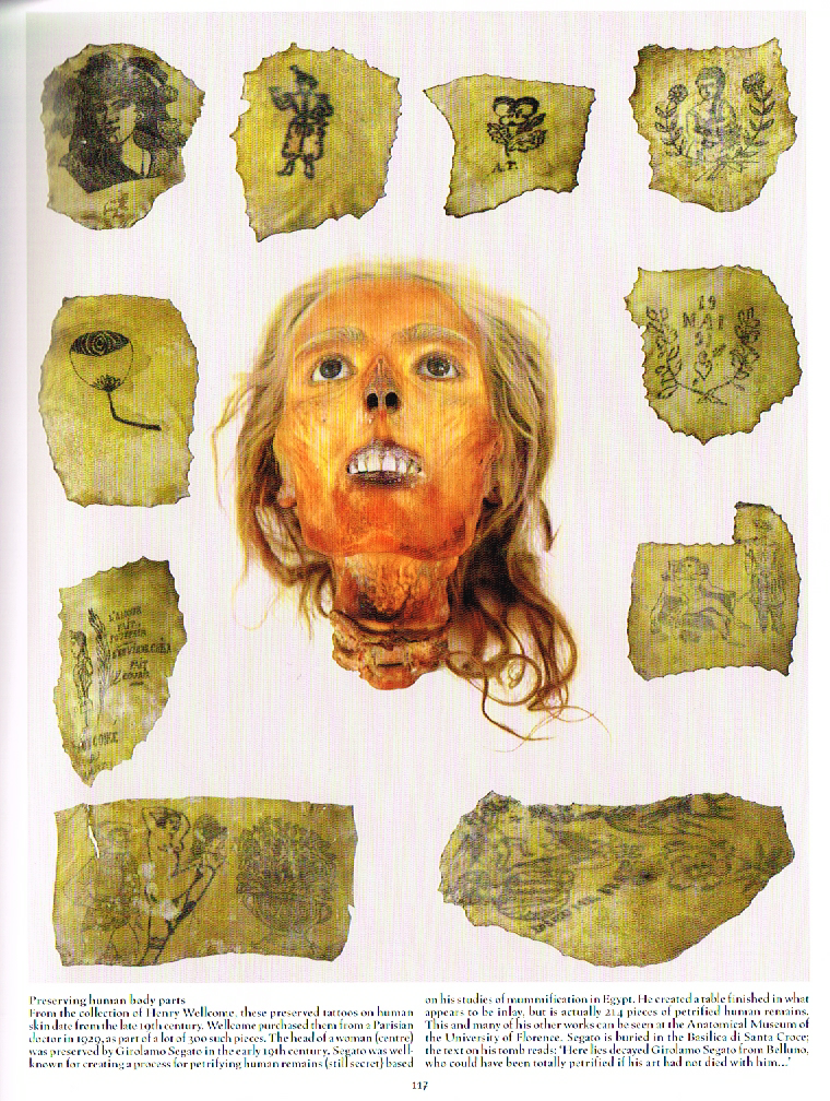 the art of death a graveside companion,death a graveside companion,human skin, henry wellcome,girolamo segato,preserved head