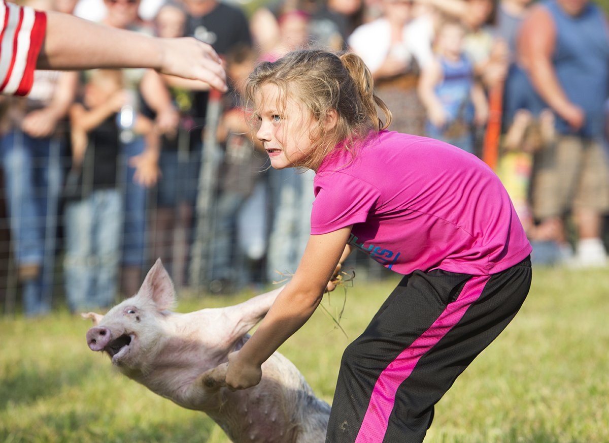  Seven year-old Peyton Atkins of Peebles, Ohio, daughter of April Fitzpatrick and Buddy Atkins, struggles with a soaped-up pig before putting it into a barrel during the greased pig contest Saturday, Sept. 7, 2013 at the Rarden Whitetail Deer Festiva